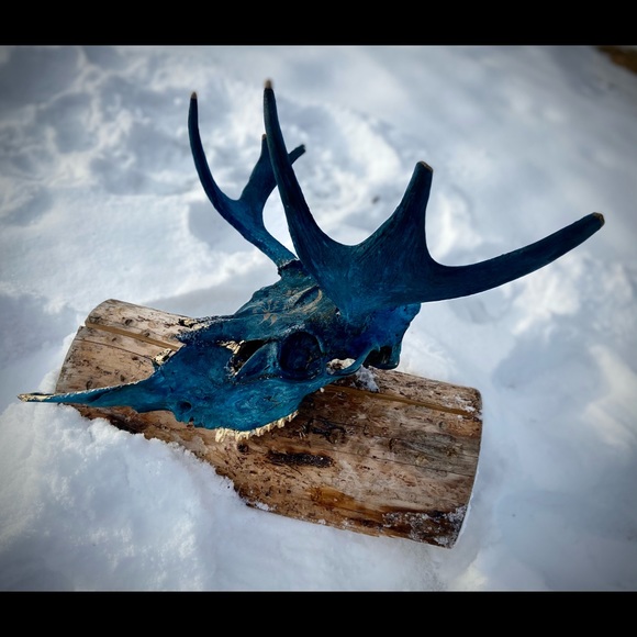 ✨Custom Painted Skull ✨ - Picture 4 of 4